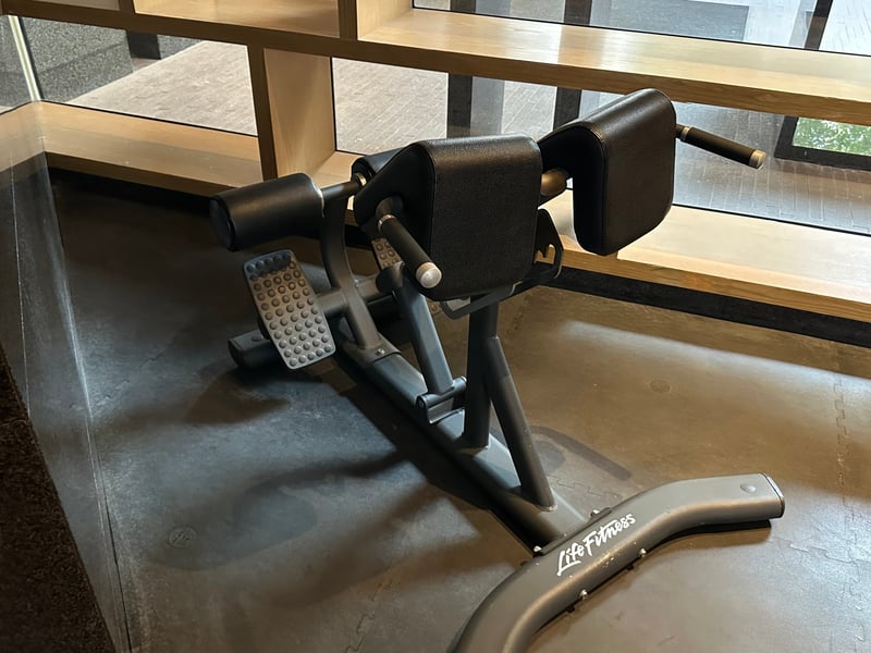 グランドハイアット香港 Plateau Spa フィットネス バックエクステンション