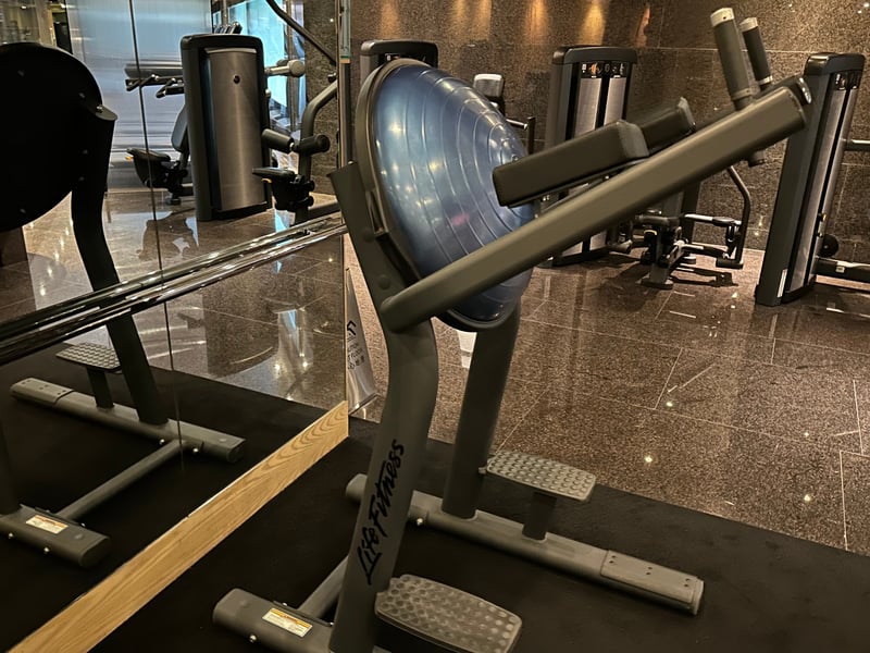 グランドハイアット香港 Plateau Spa フィットネス 半円形バランスボール