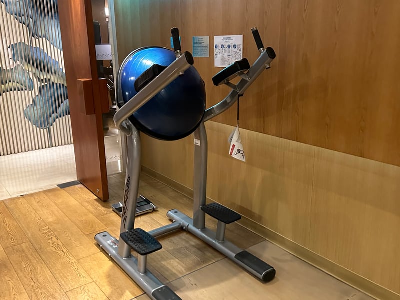 グランドハイアット台北 クラブオアシス 半円形バランスボール