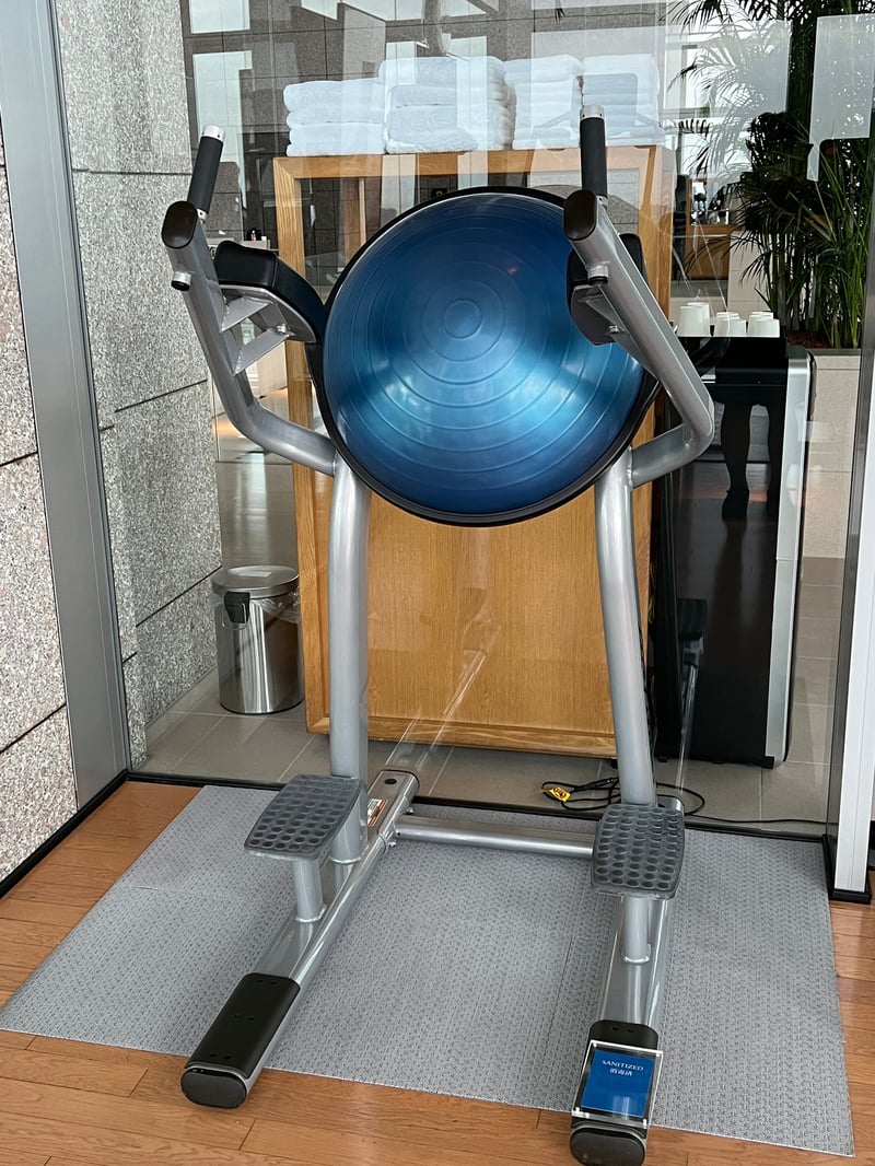 パークハイアット東京 クラブオンザパーク スパ＆フィットネス 半円形バランスボール