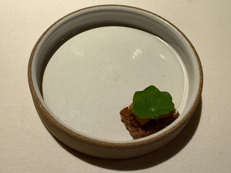 縁の立った器に白いスープ。端に小さなトーストと丸い緑の葉