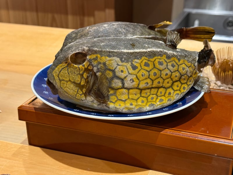 染付の皿にのせたハコフグ。黄色い六角形の模様が体を覆っている。