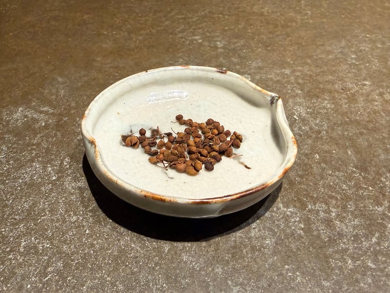小皿に盛られた乾いた山椒の実