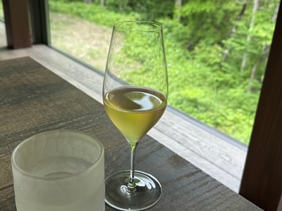 新緑の窓辺に置かれた、淡い黄色の炭酸の入ったグラス