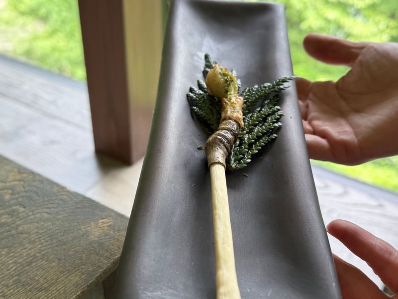 細い串に刺さったこしあぶらの揚げもの。杉の葉を敷いた黒い器の上