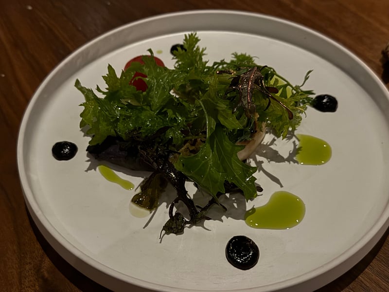 白い皿に葉野菜を高く盛り、黒ニンニクの点と緑のオイルを引く