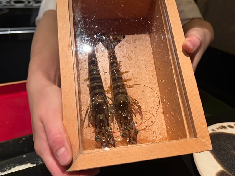 ガラス蓋の木箱に入った生きた車海老二尾