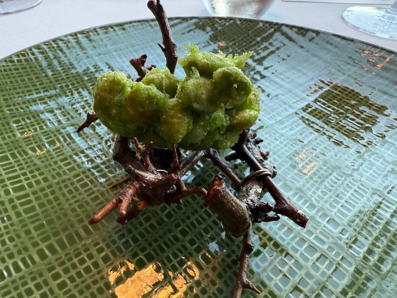 枝を組んだ台に載せた枝豆のフリット