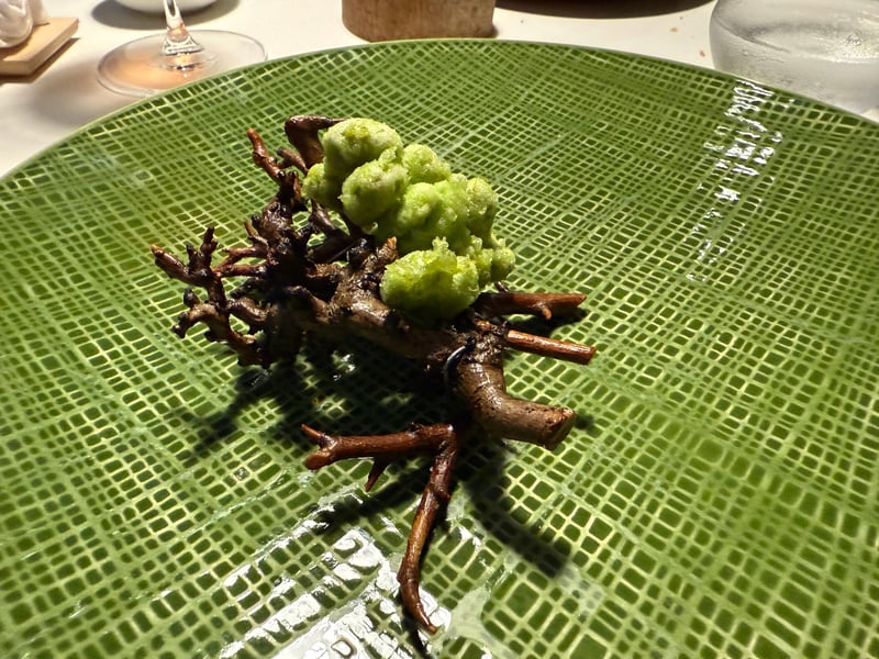 緑の皿に組んだ焦げた枝の上に、枝豆のフリットが四つ