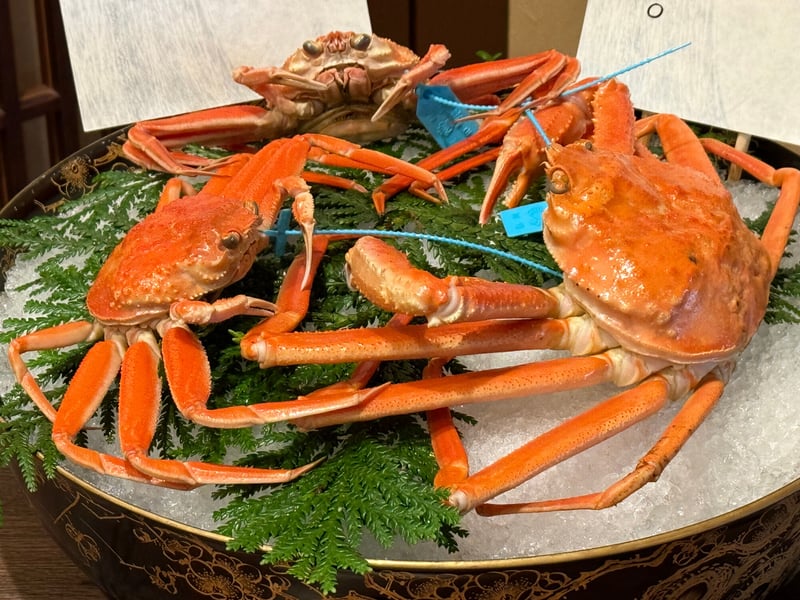 夕食の前、氷と杉の葉の上に並べられた蟹。青いタグの付いたものが三杯