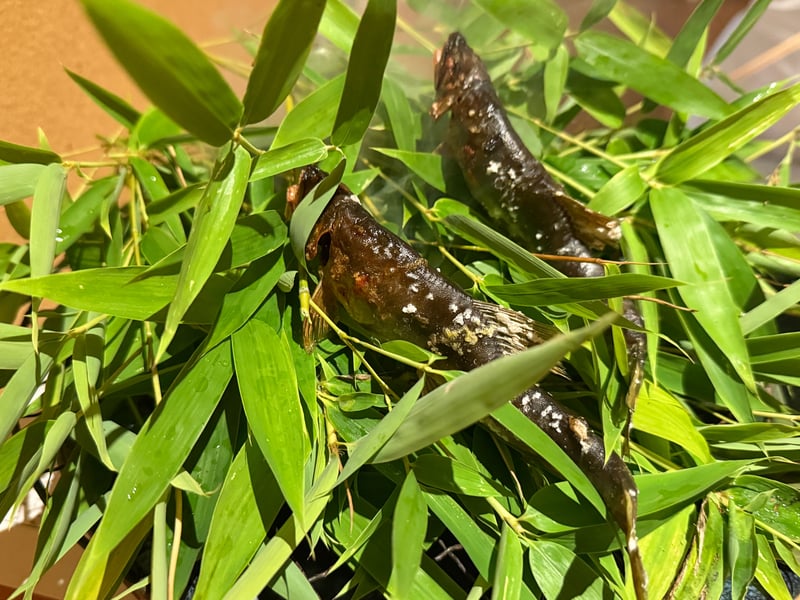 笹の葉に載せた鮎を燻して、煙が上がっている