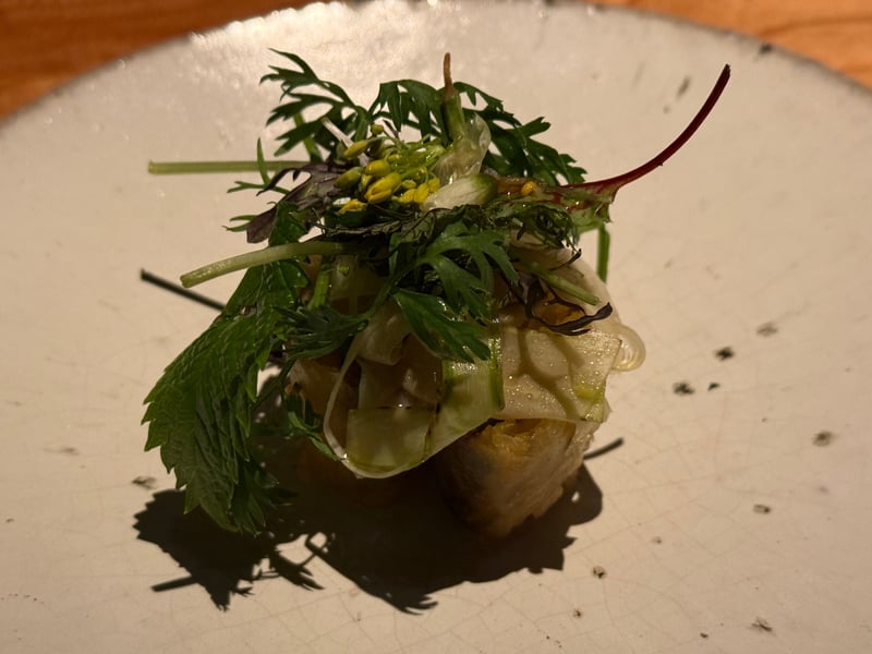 白い皿にのった小さな春巻き。薄く削いだ野菜と山野草、菜の花が上に盛られている