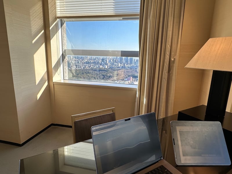 パークハイアット東京 ビューデラックス 風景2