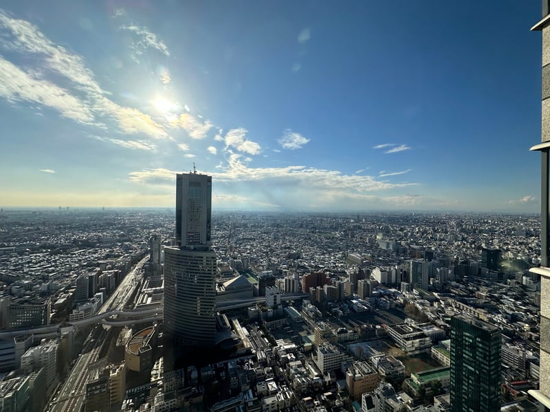 パークハイアット東京 ビューデラックス 景色