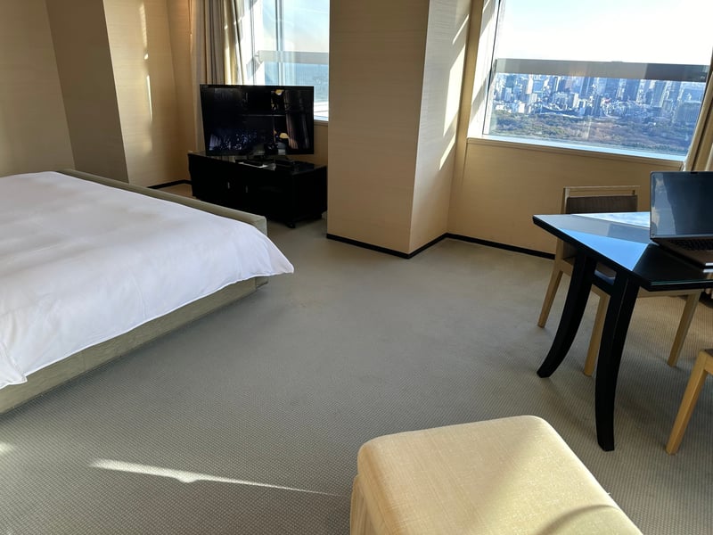 パークハイアット東京 ビューデラックス TV2