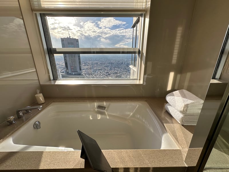 パークハイアット東京 ビューデラックス ビューバス