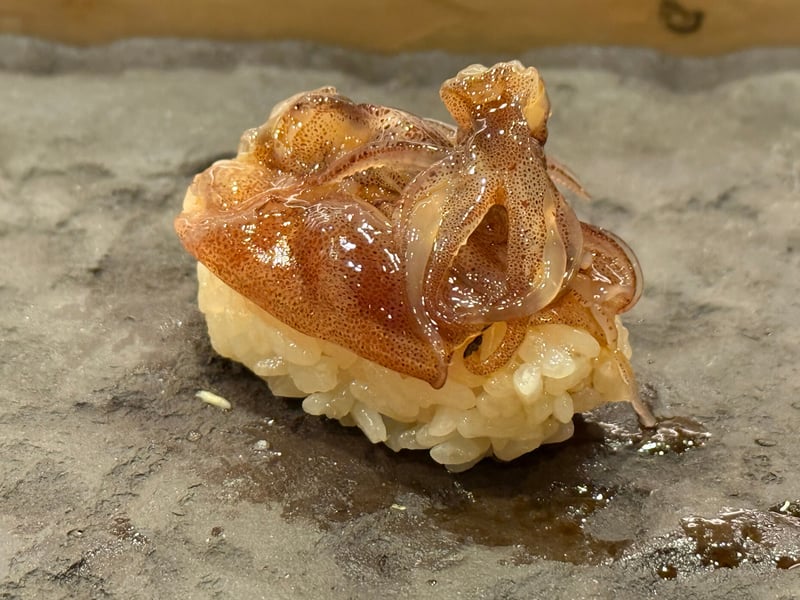 火を入れないホタルイカをのせた握り