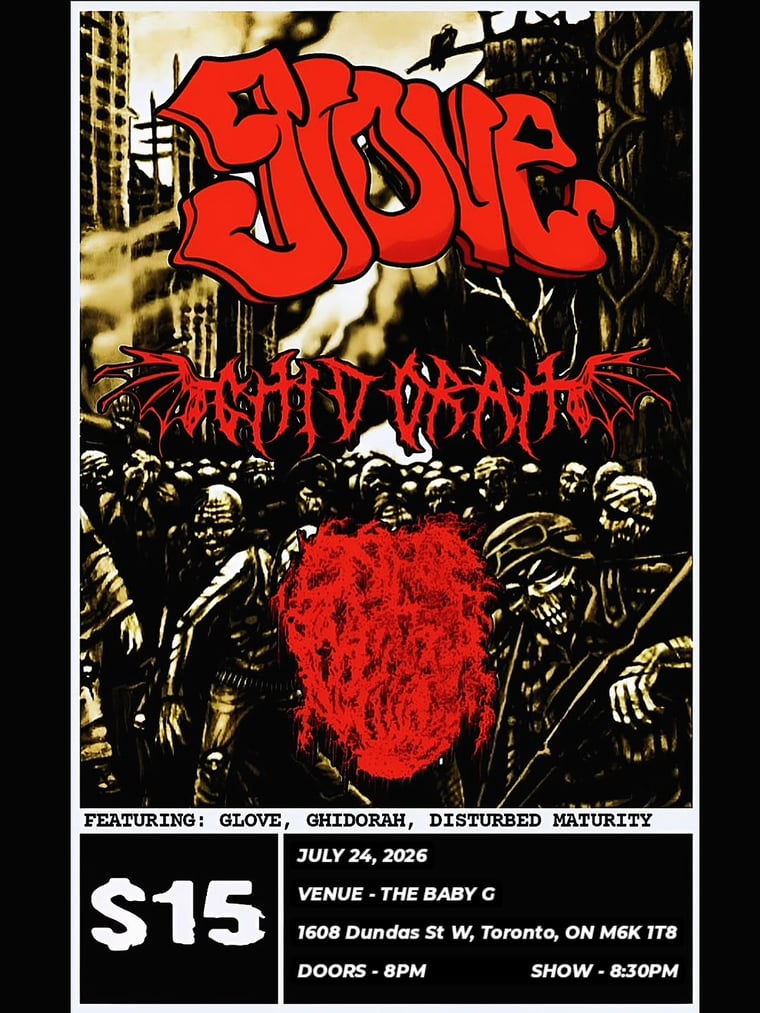 VIOLATOUR Day 2/4 flyer