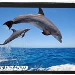Elcor Map type 100 Inch 3d And 4k Projector Screen thumbnail 2