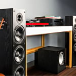 Polk Audio t50 2-way Floor Standing Speaker (pair) thumbnail 2