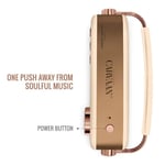 Saregama Carvaan Gold Portable Digital Music Player thumbnail 4