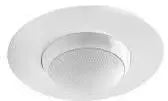 Cabasse Alcyone-2 1-way Satellite In-ceiling Speaker