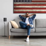 Flexus SURR 100 Wireless Surround Sound Speakers thumbnail