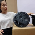 Bose Dm5c Design Max In-ceiling Speaker thumbnail 3