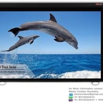 Elcor Manual Pull Down 8 By 10 Ft Projector Screen thumbnail 1