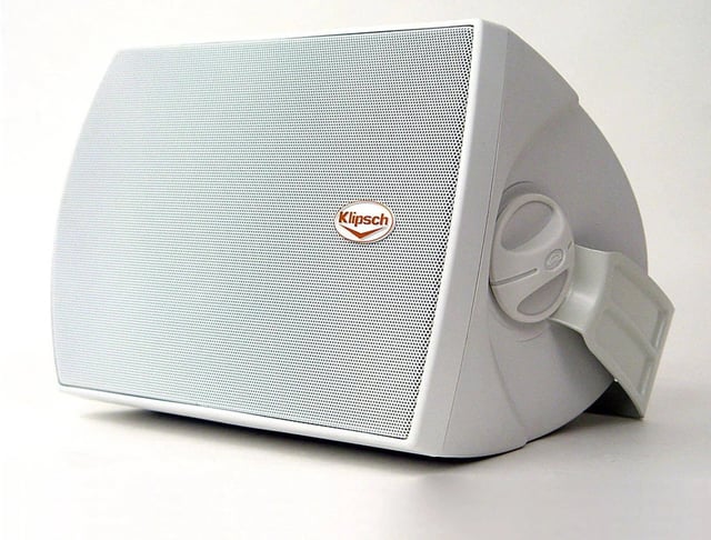 Klipsch AW-525 Outdoor Speaker