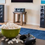 Polk Audio t50 2-way Floor Standing Speaker (pair) thumbnail 3
