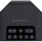 Bluesound Pulse Flex 2i Portable Wireless Music Streaming Speaker thumbnail 3