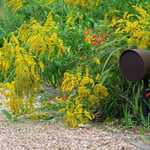 Monitor Audio Climate Clg-160 Outdoor Passive On-wall Speakers (each) thumbnail
