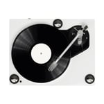 Roksan Xerxes 20 Plus - Turntable thumbnail 2