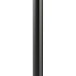 Bowers And Wilkins Formation Flex Stylish High End Design Floor Stand thumbnail 1