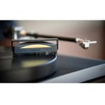 AudioQuest Super-Conductive Anti-Static Record Brush thumbnail 4