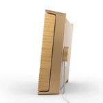 Bang & Olufsen Beosound Level - Portable WiFi Speaker thumbnail