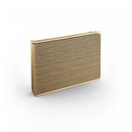 Bang & Olufsen Beosound Level - Portable WiFi Speaker thumbnail 1