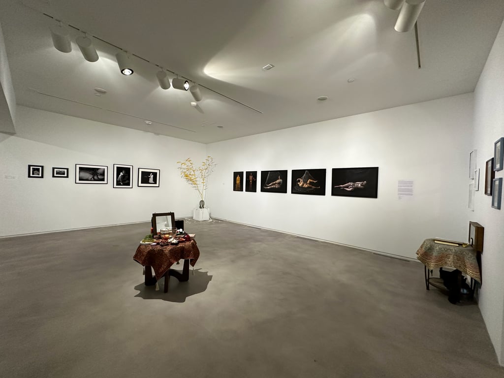 Blaffer Art Museum - cover