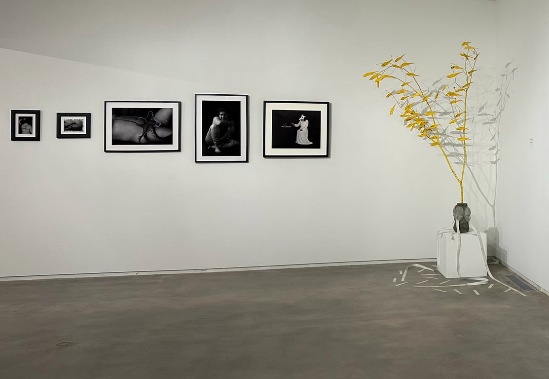 Blaffer Art Museum - 2