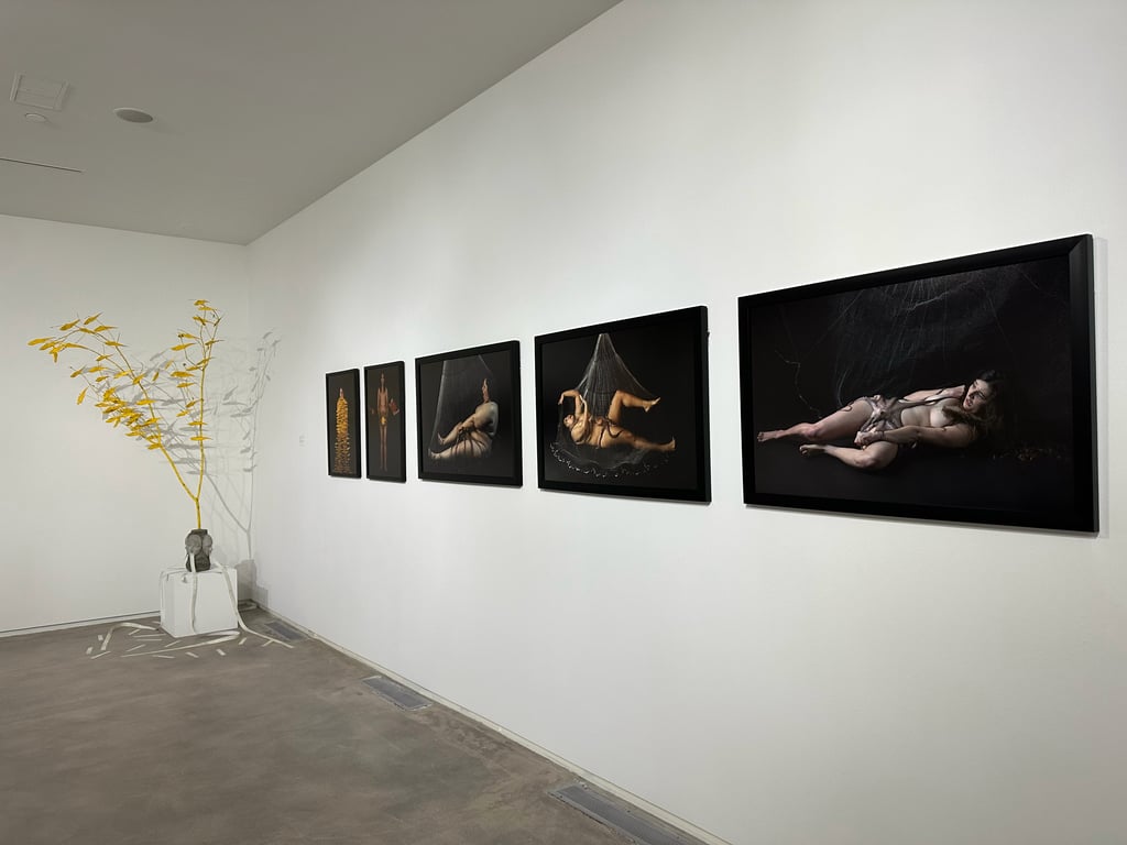 Blaffer Art Museum - 3
