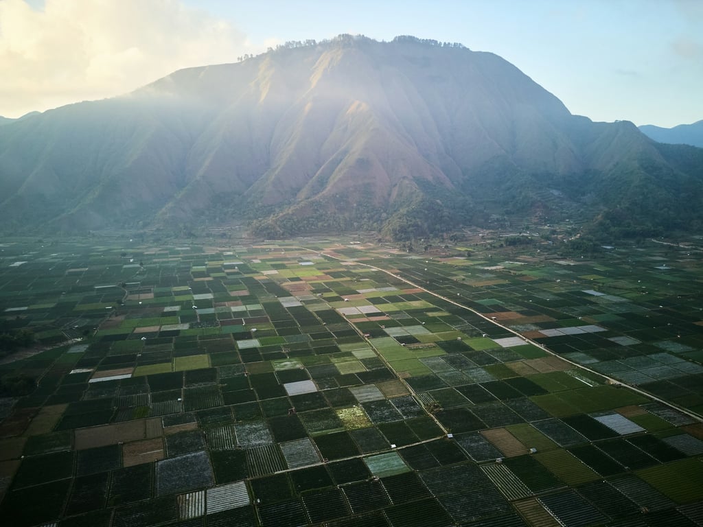Illustration Terrain en France