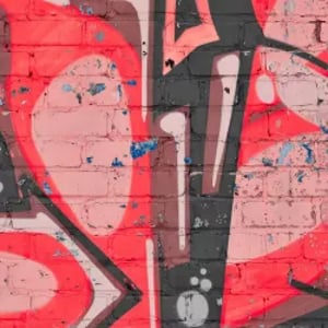 LoveThrive™ – Demographics