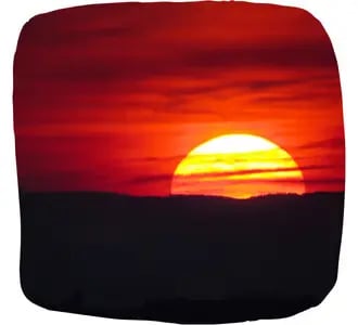 LoveThrive™ – Overview