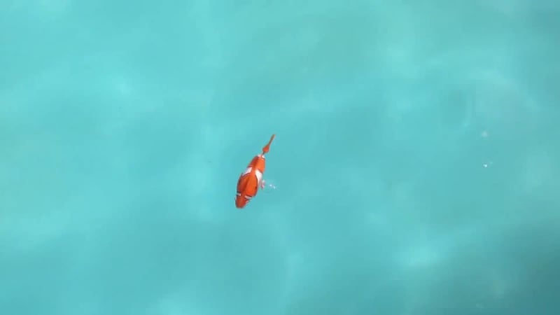 image_E3JSMSlIpkHE43Y4QLUhA01-md