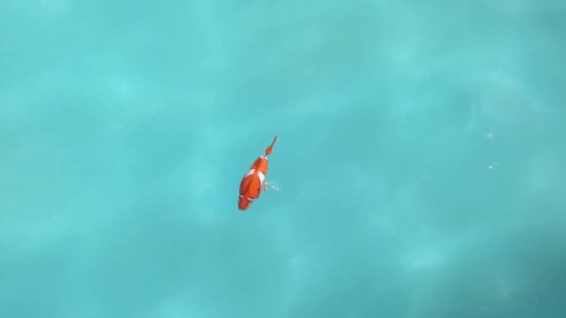 image_E3JSMSlIpkHE43Y4QLUhA01-lg