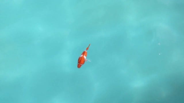 image_E3JSMSlIpkHE43Y4QLUhA01-sm