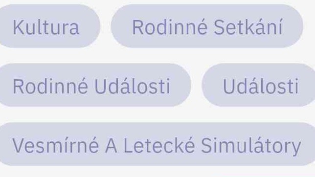 Osoba v domácnosti