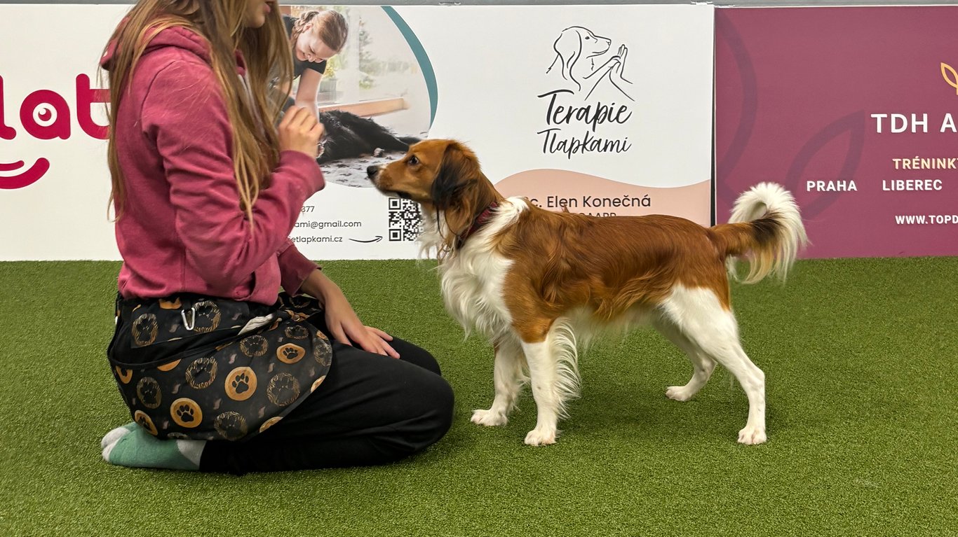 Kruhový trénink pod vedením certifikované fyzioterapeutky