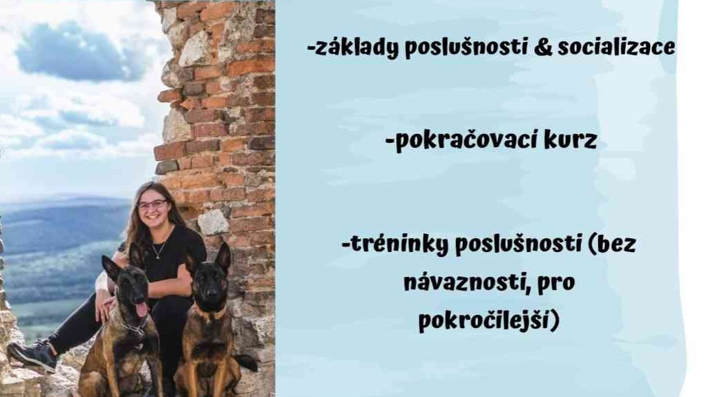 Základy poslušnosti a socializace